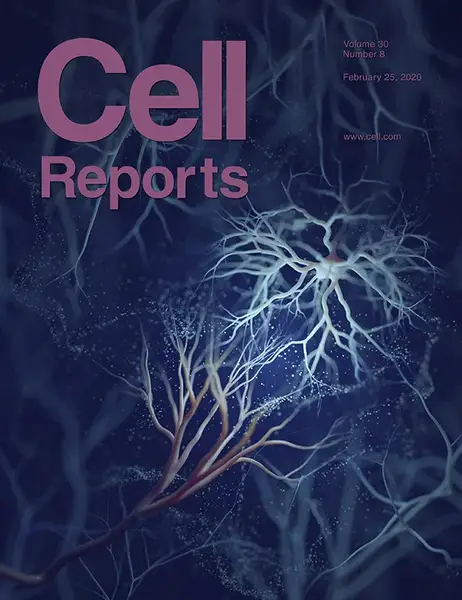 Neuroprotective role of Hh