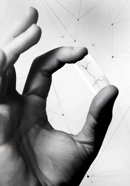 Neuroscience reconstructed
