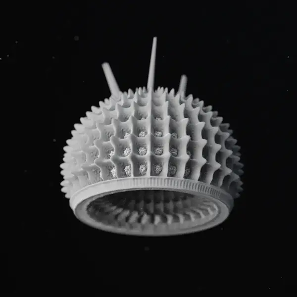 Diatom